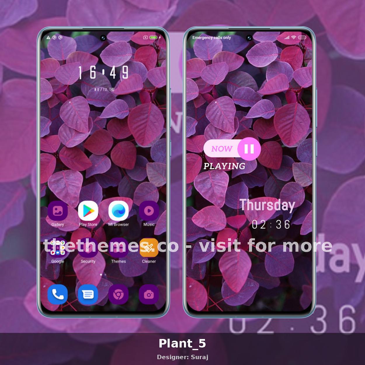Plant_5