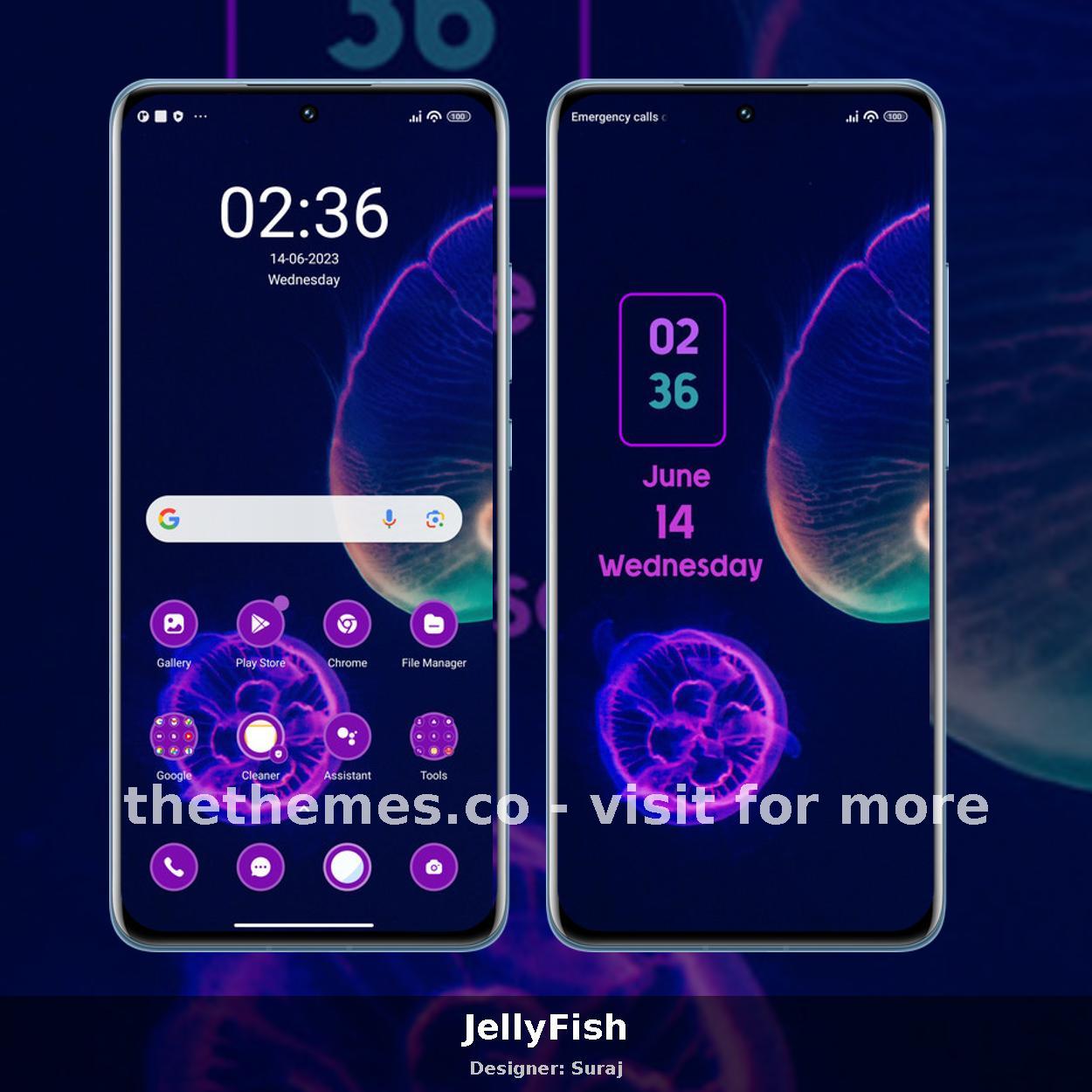 JellyFish
