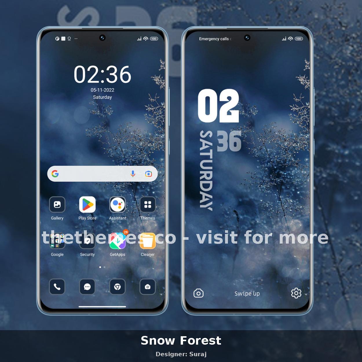 Snow Forest
