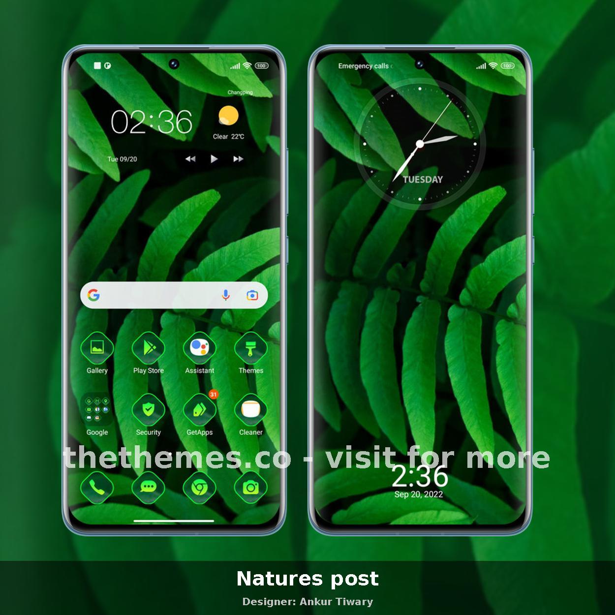 Natures post