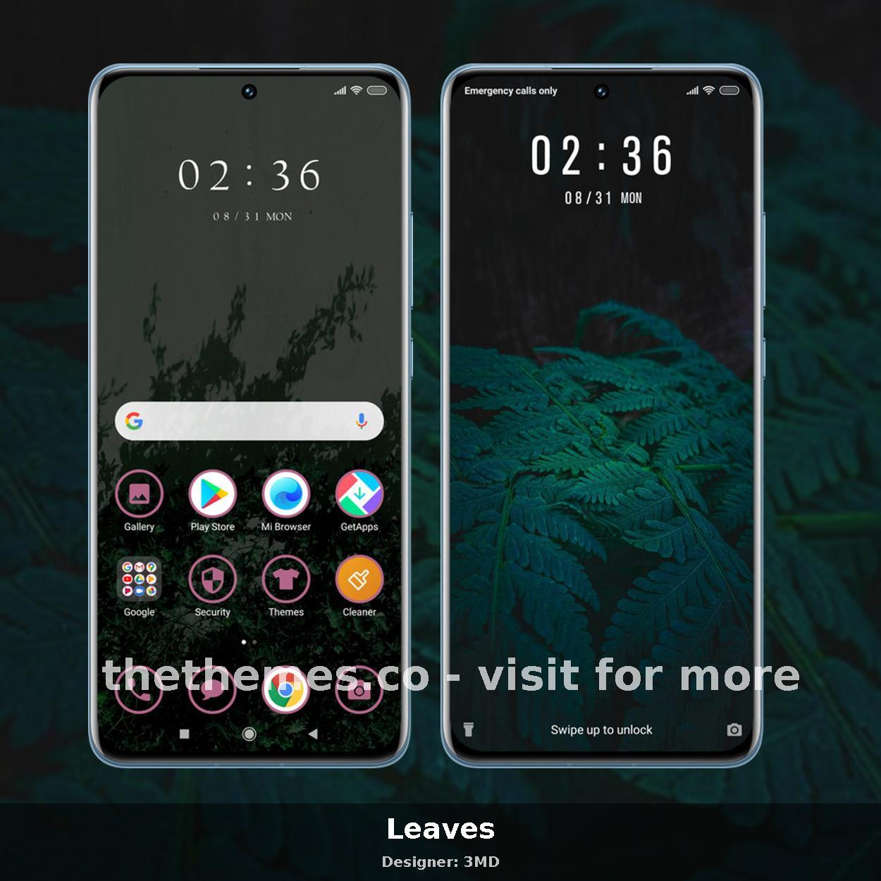Leaves