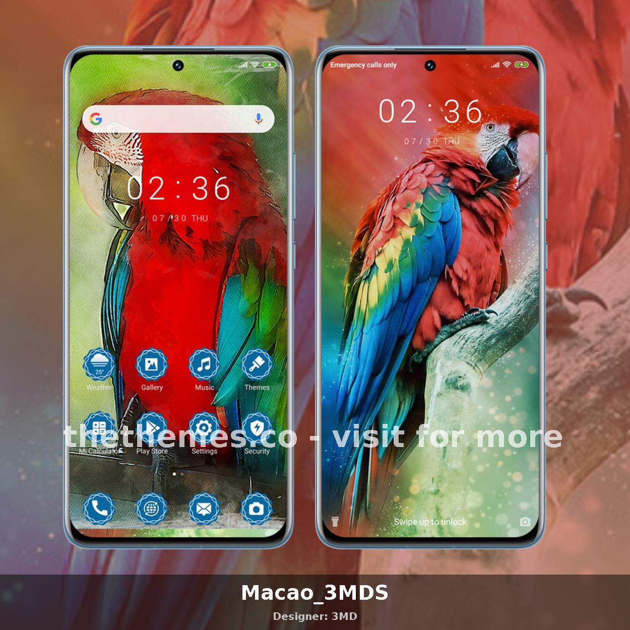 Macao_3MDS