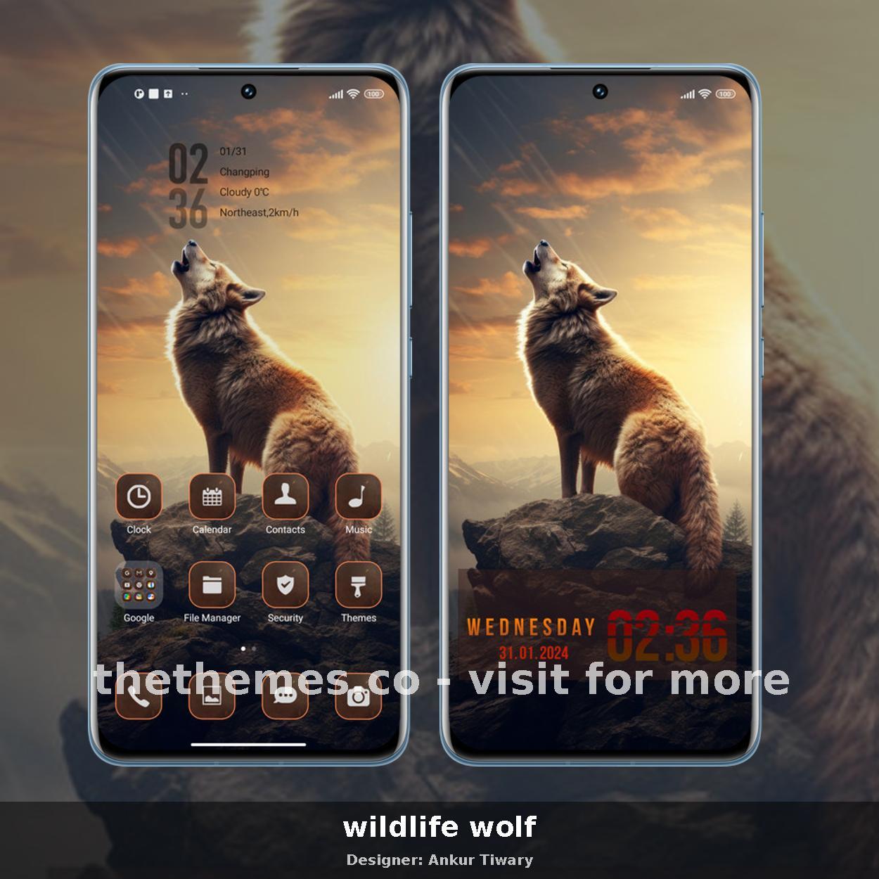 wildlife wolf