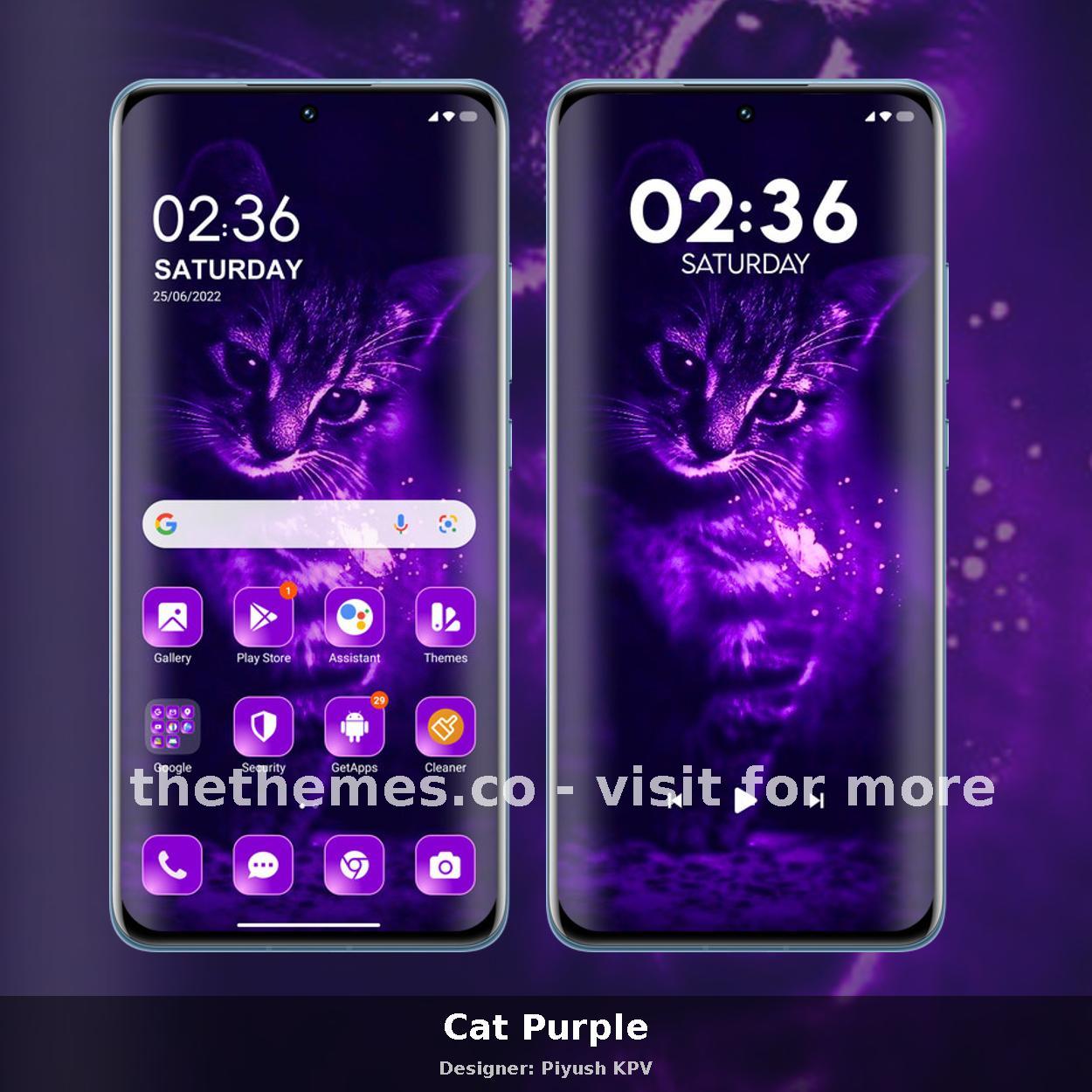Cat Purple