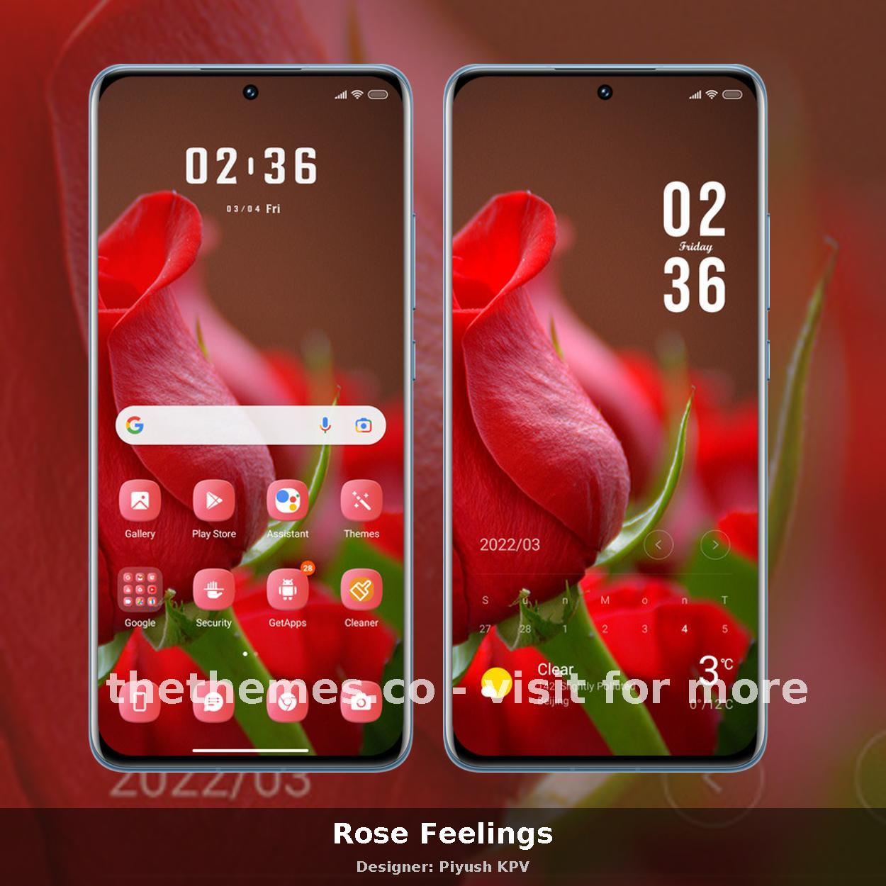 Rose Feelings