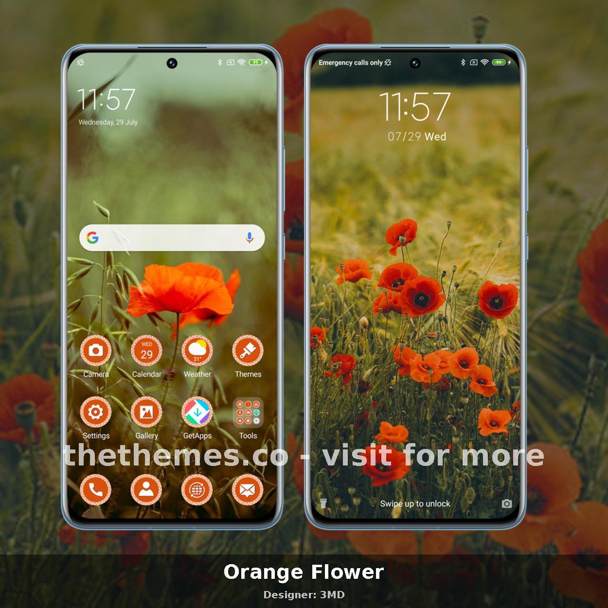 Orange Flower