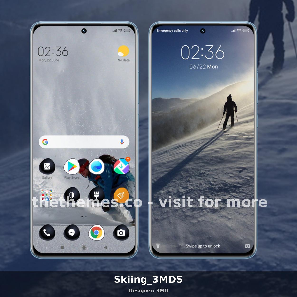 Skiing_3MDS