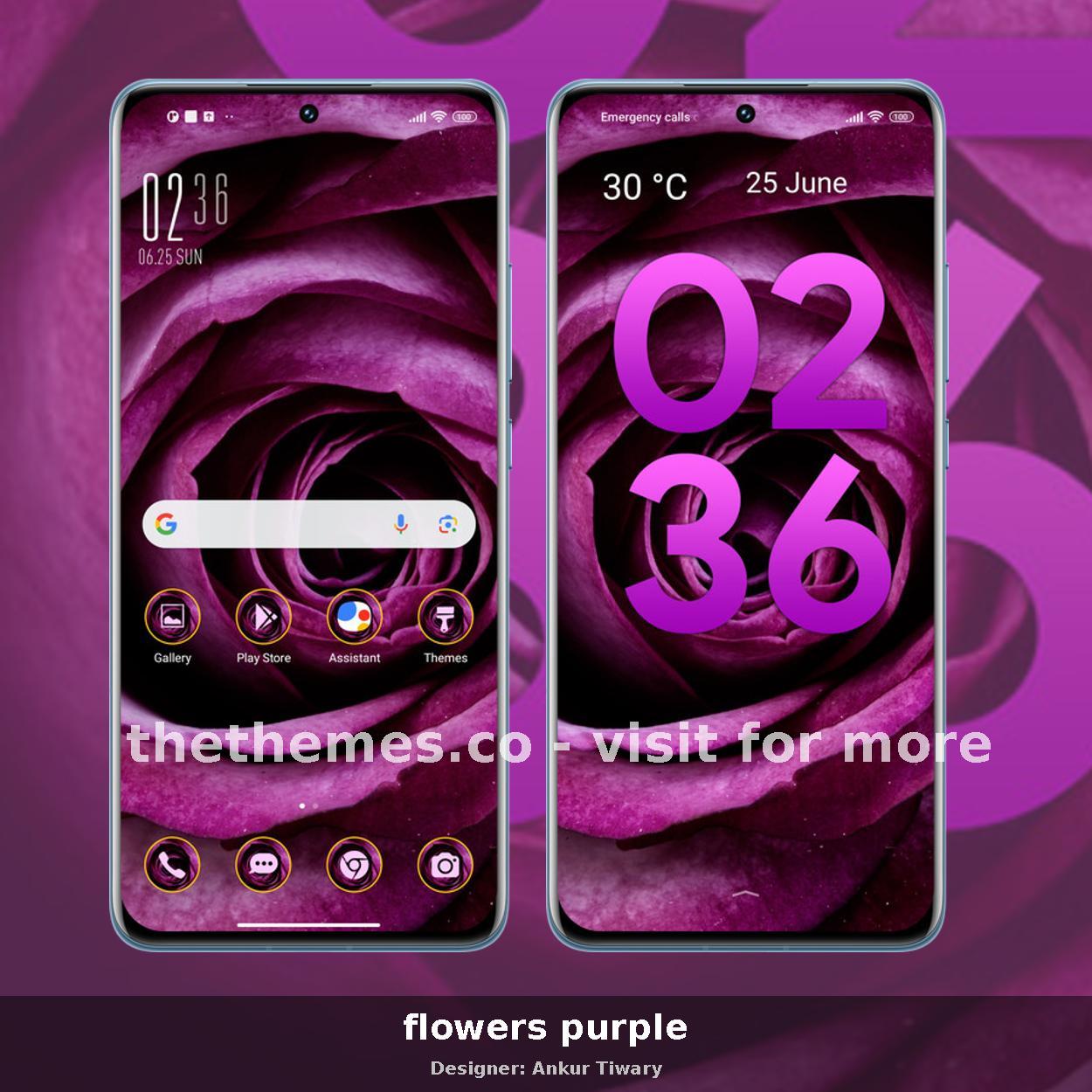 flowers purple