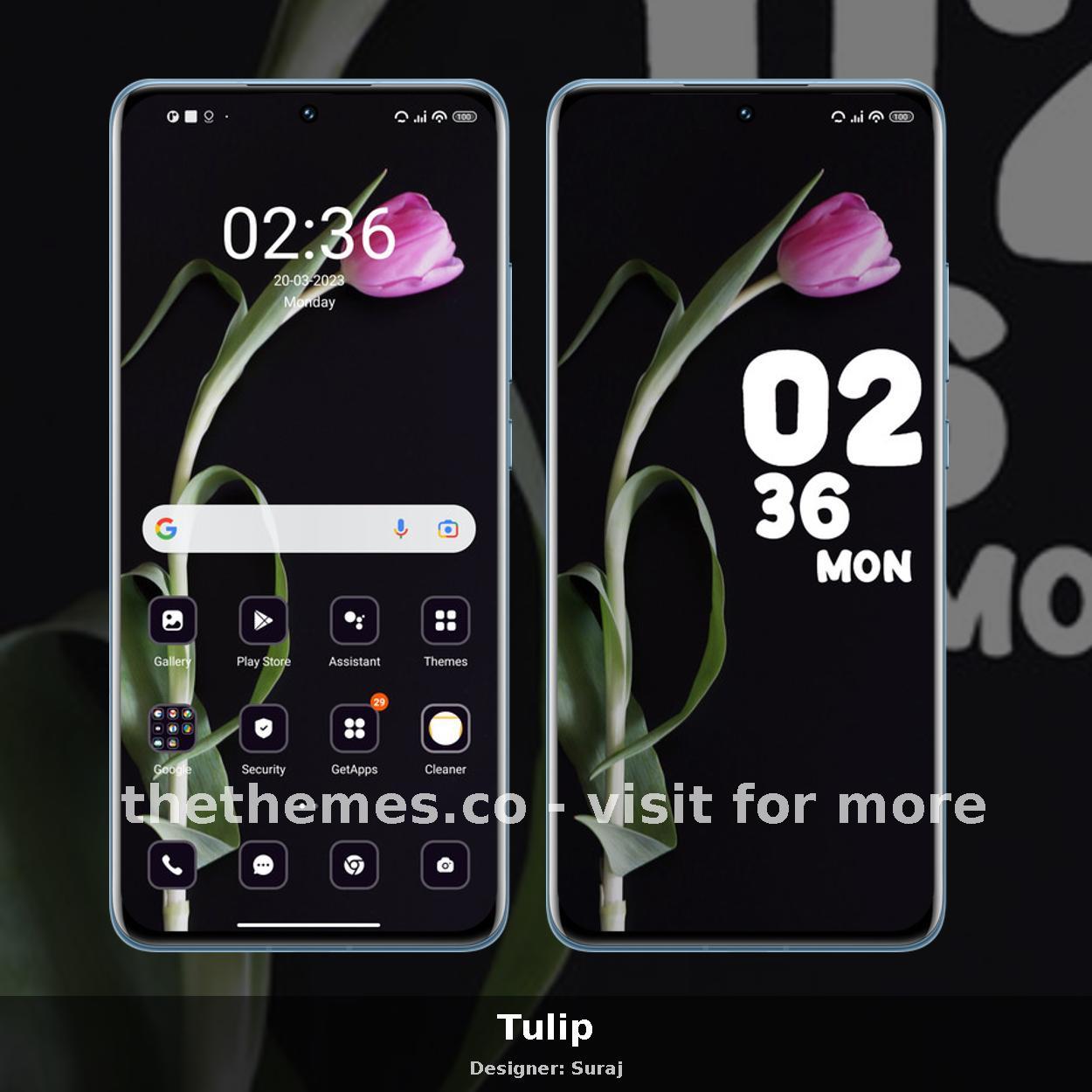 Tulip