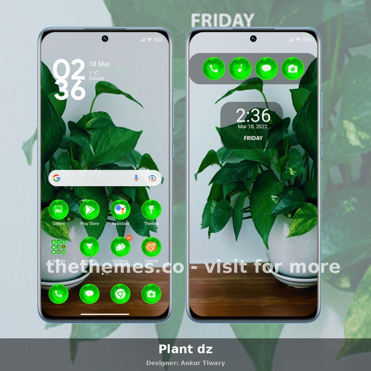 Plant dz