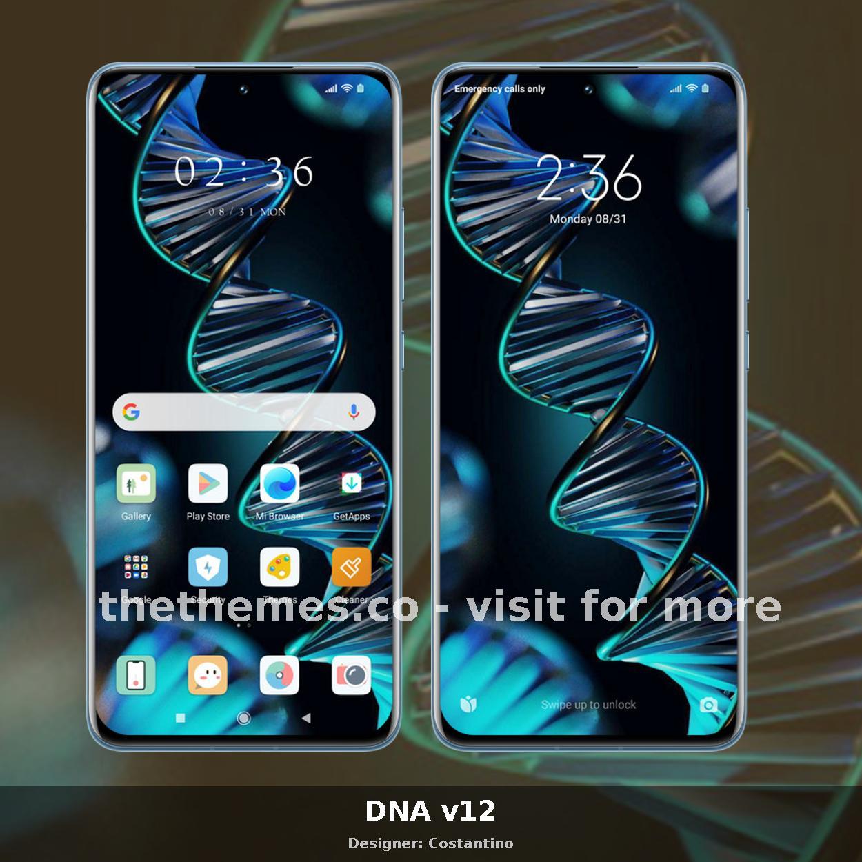 DNA v12