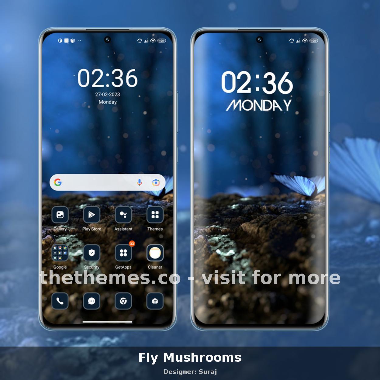 Fly Mushrooms