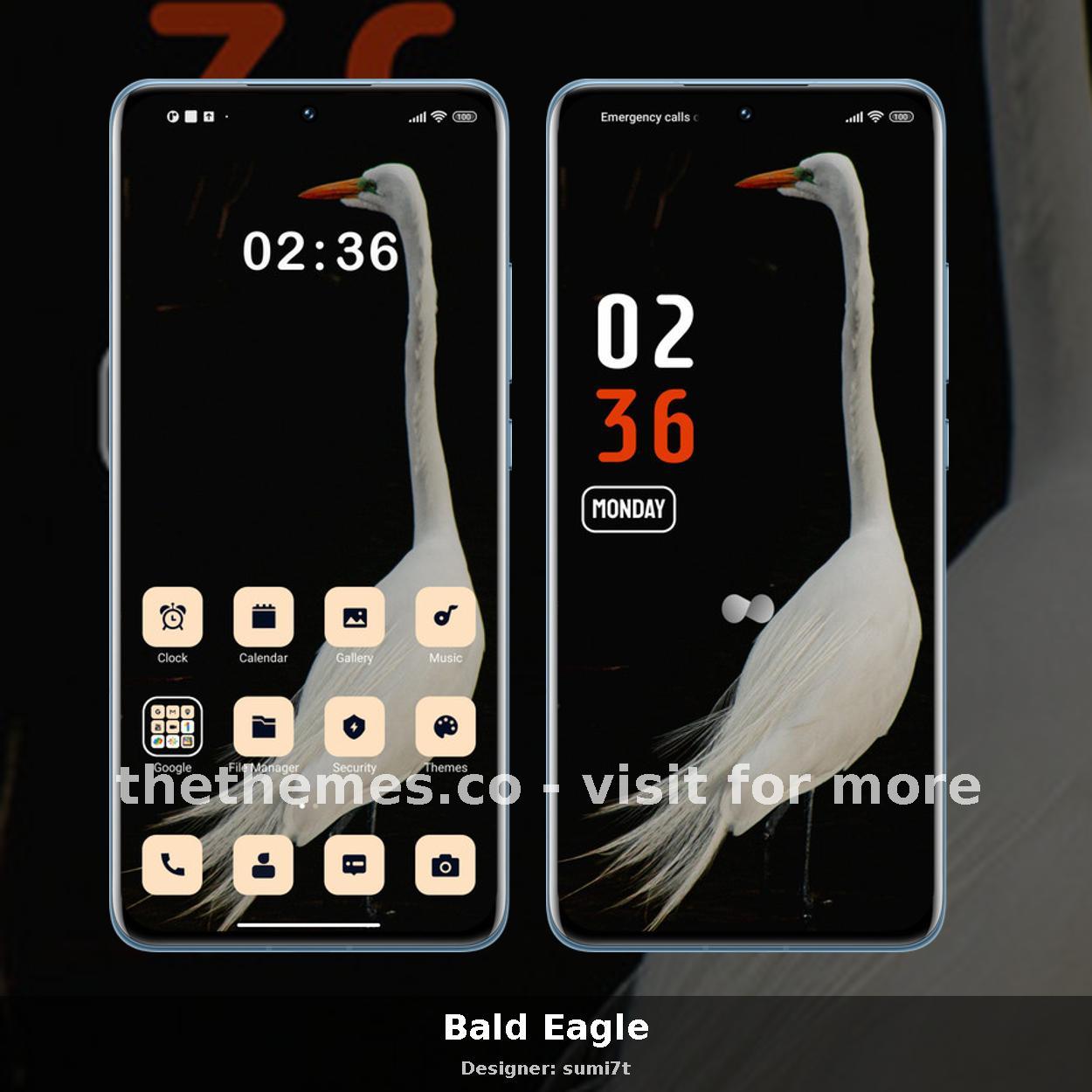 Bald Eagle