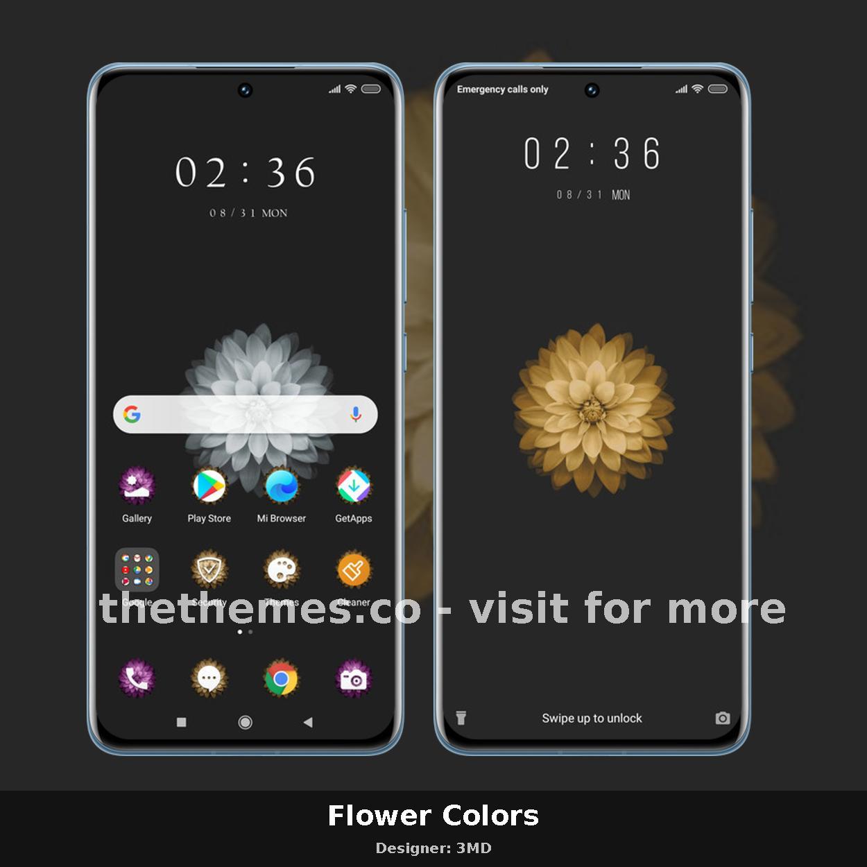 Flower Colors