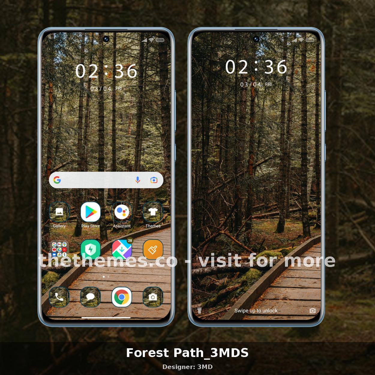 Forest Path_3MDS