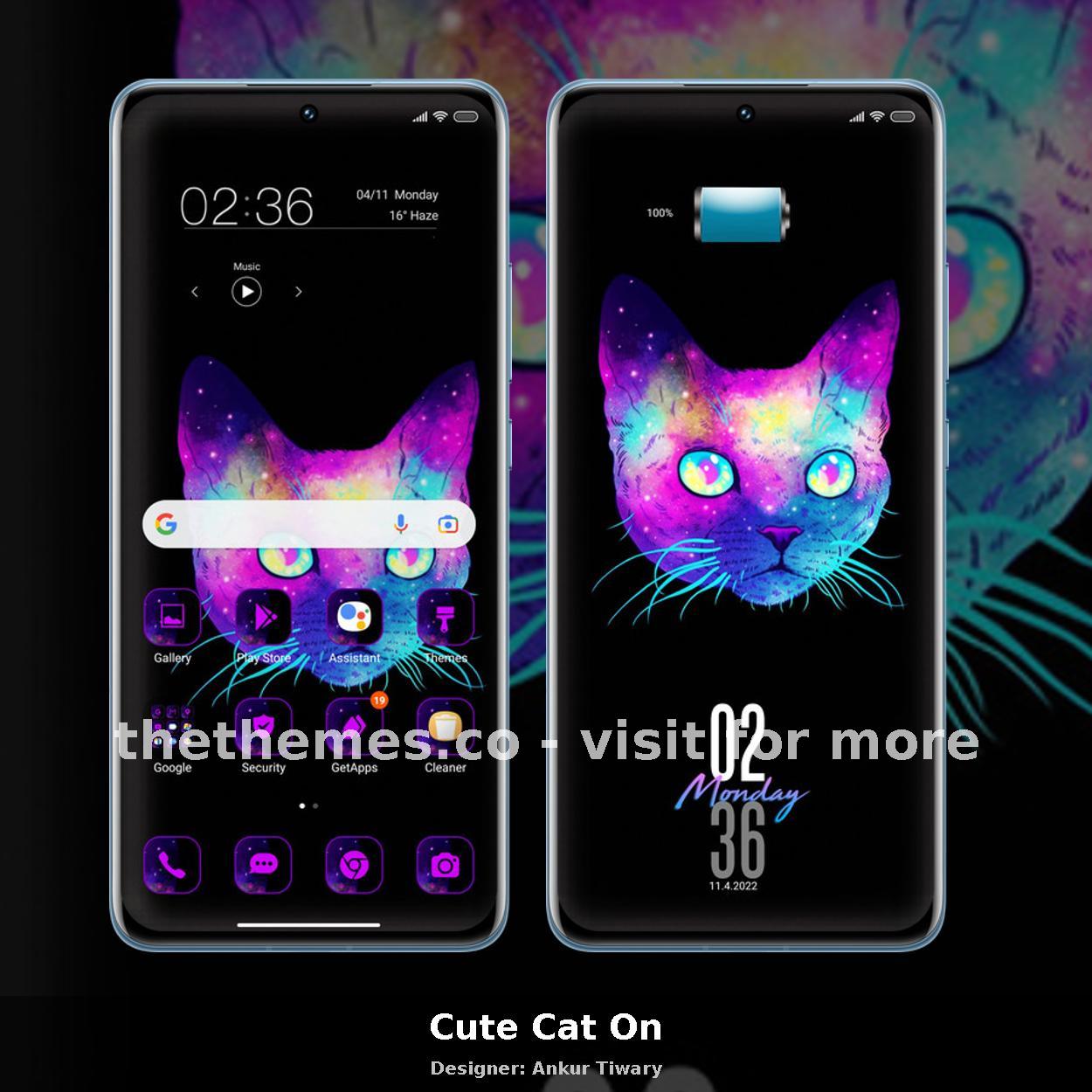 Cute Cat On
