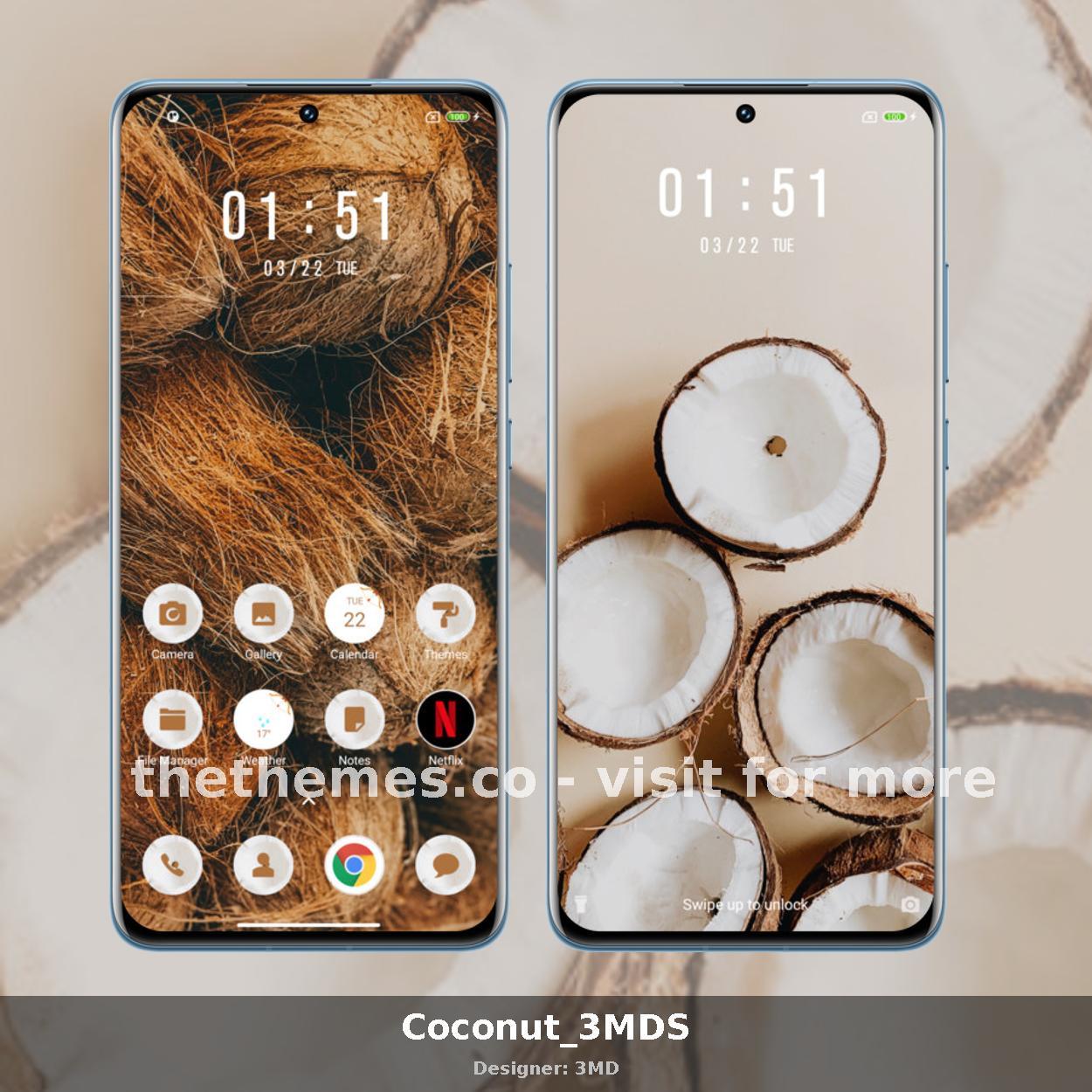 Coconut_3MDS