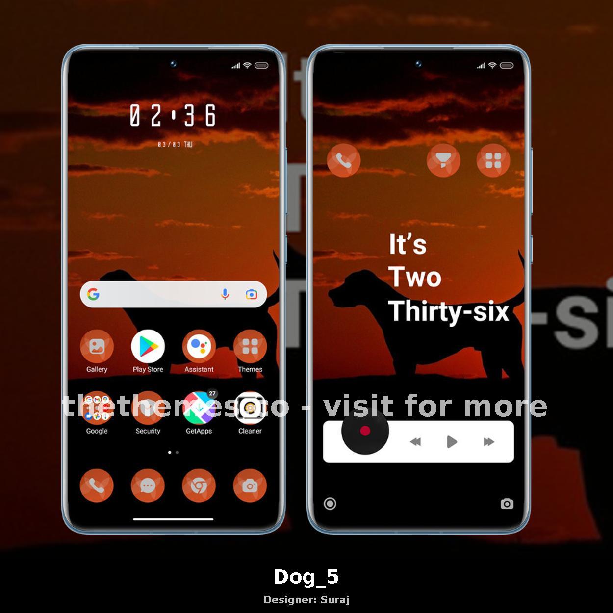 Dog_5