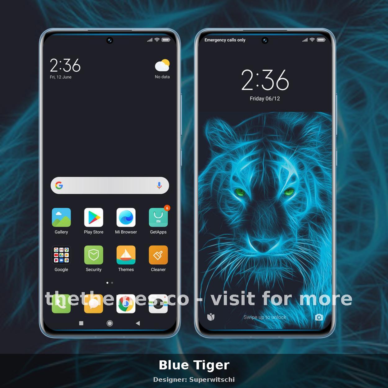 Blue Tiger