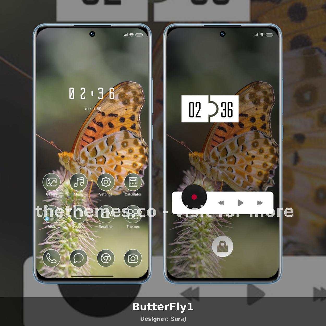 ButterFly1