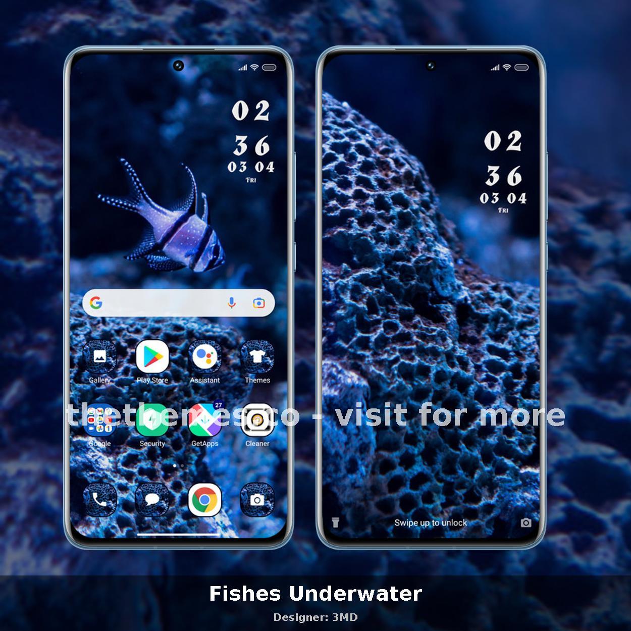 Fishes Underwater
