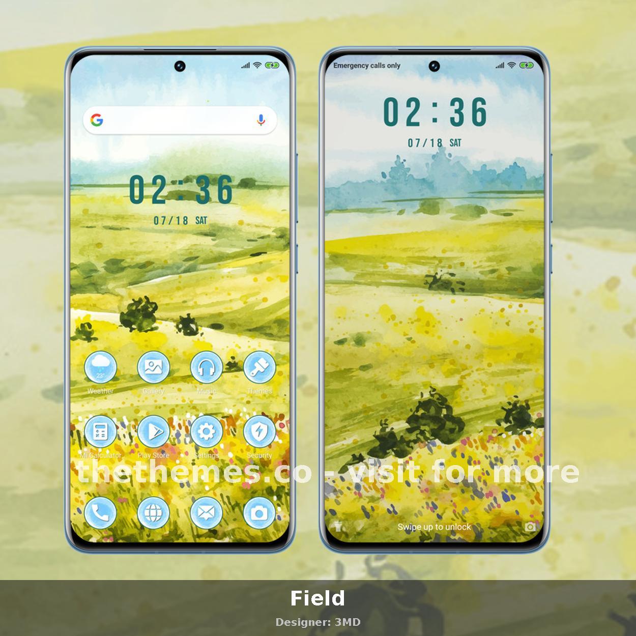 Field