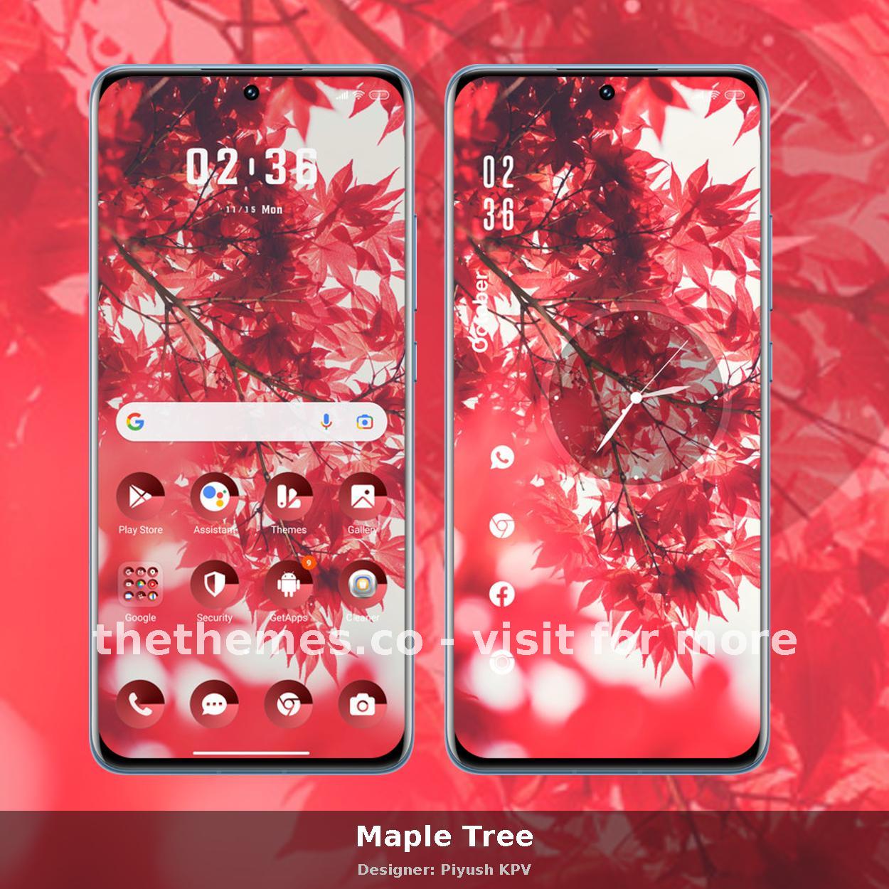 Maple Tree