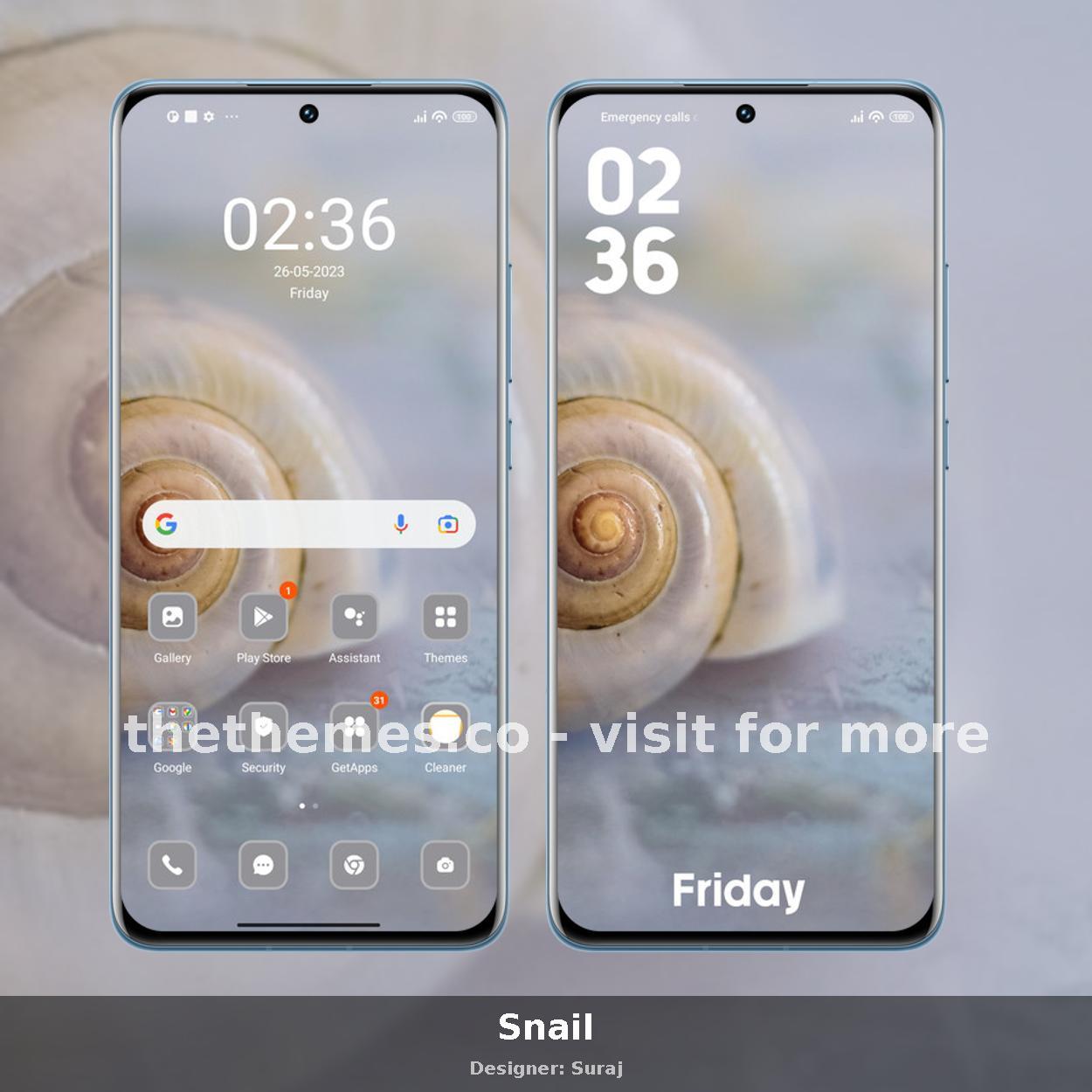 Snail