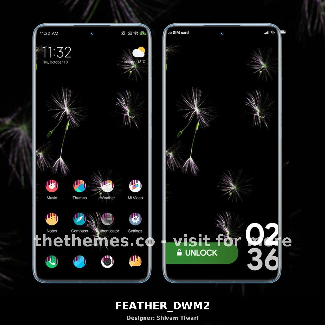 FEATHER_DWM2