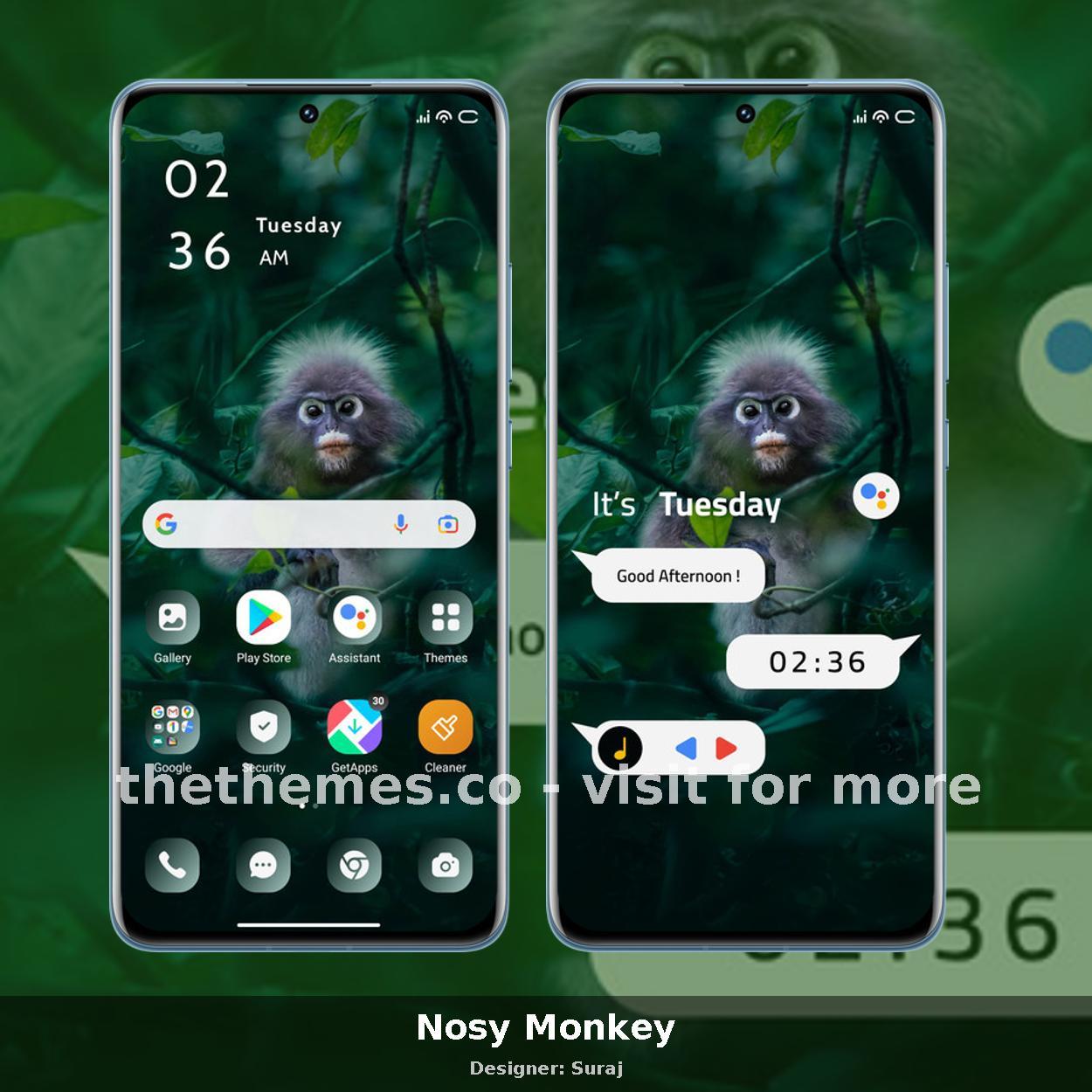 Nosy Monkey