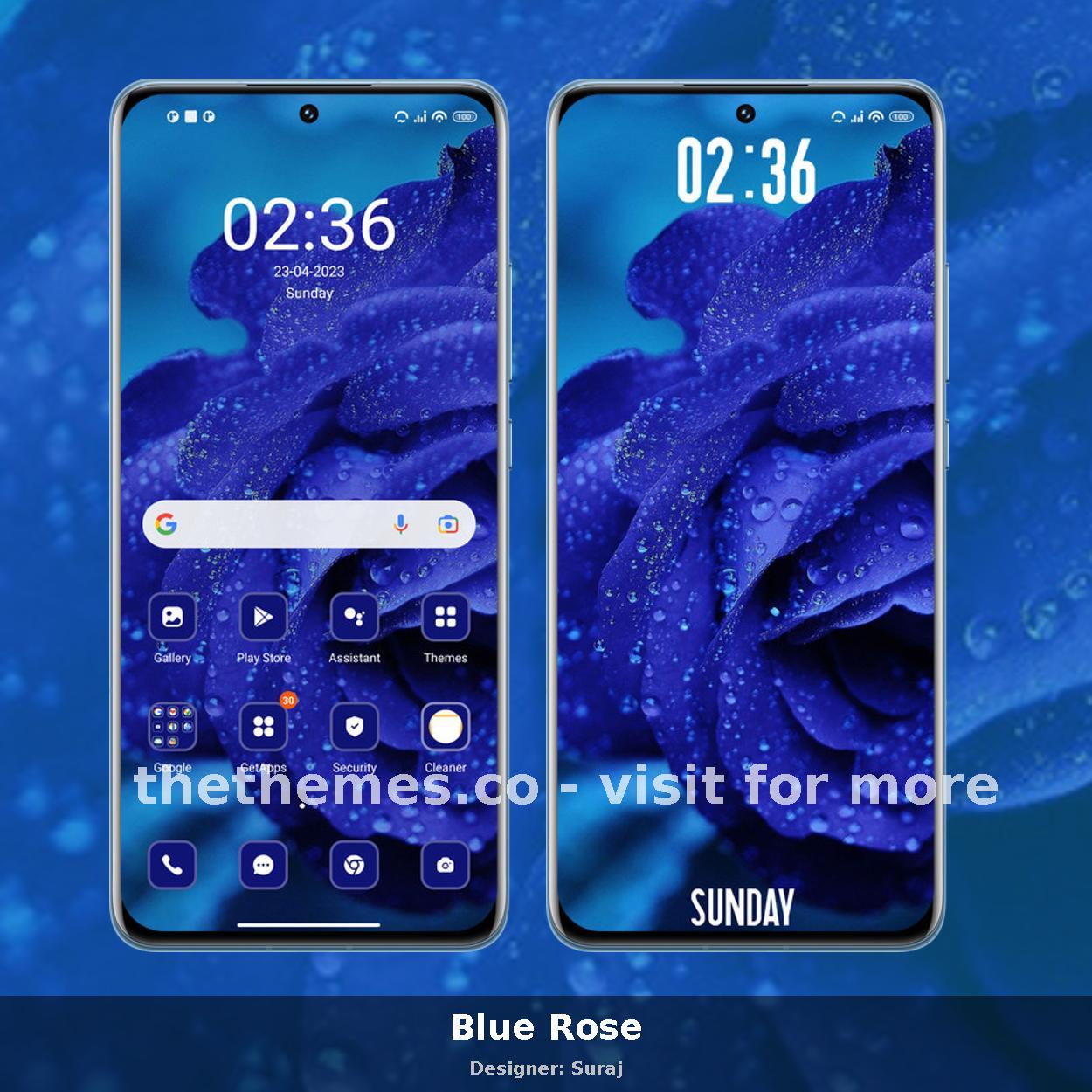 Blue Rose