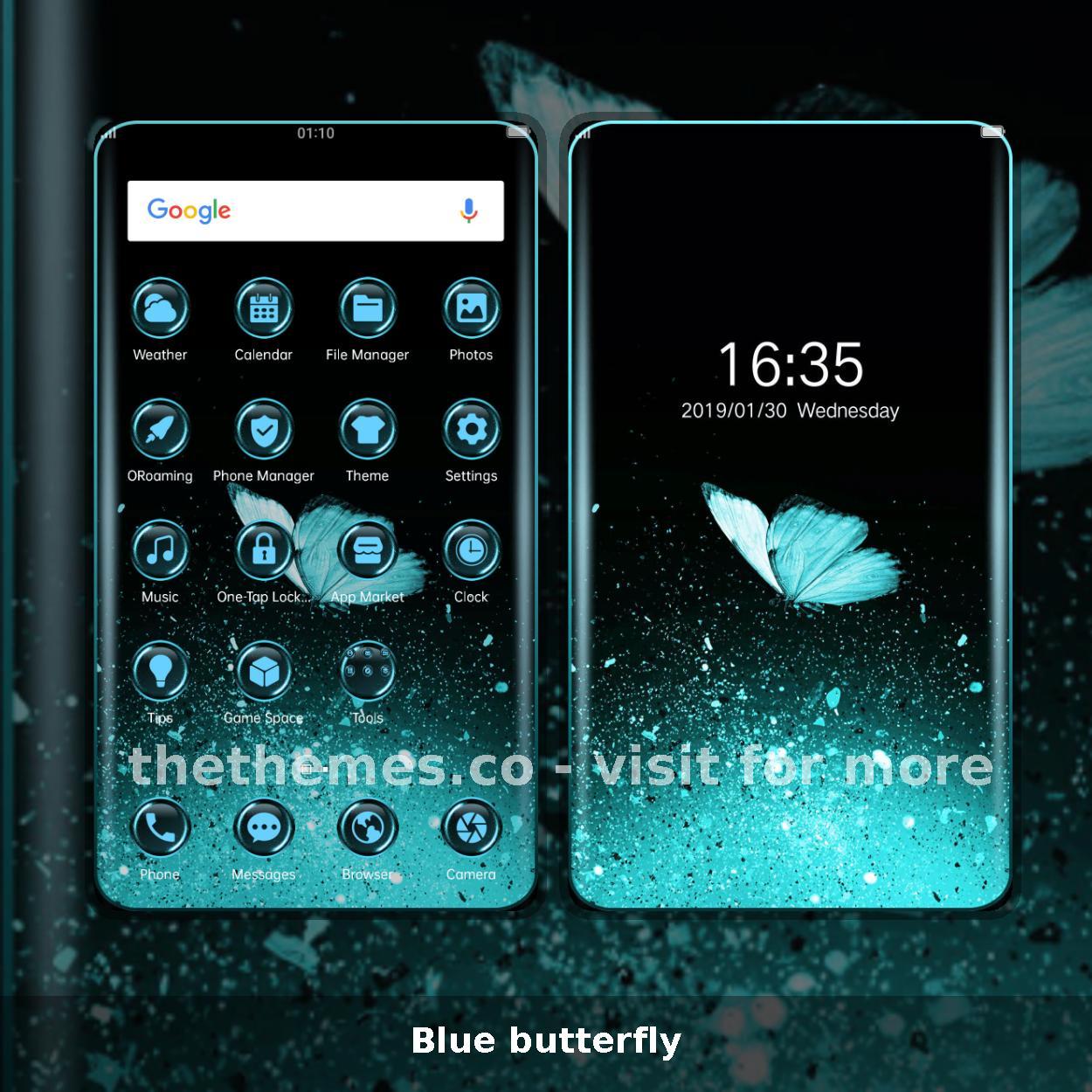 Blue butterfly