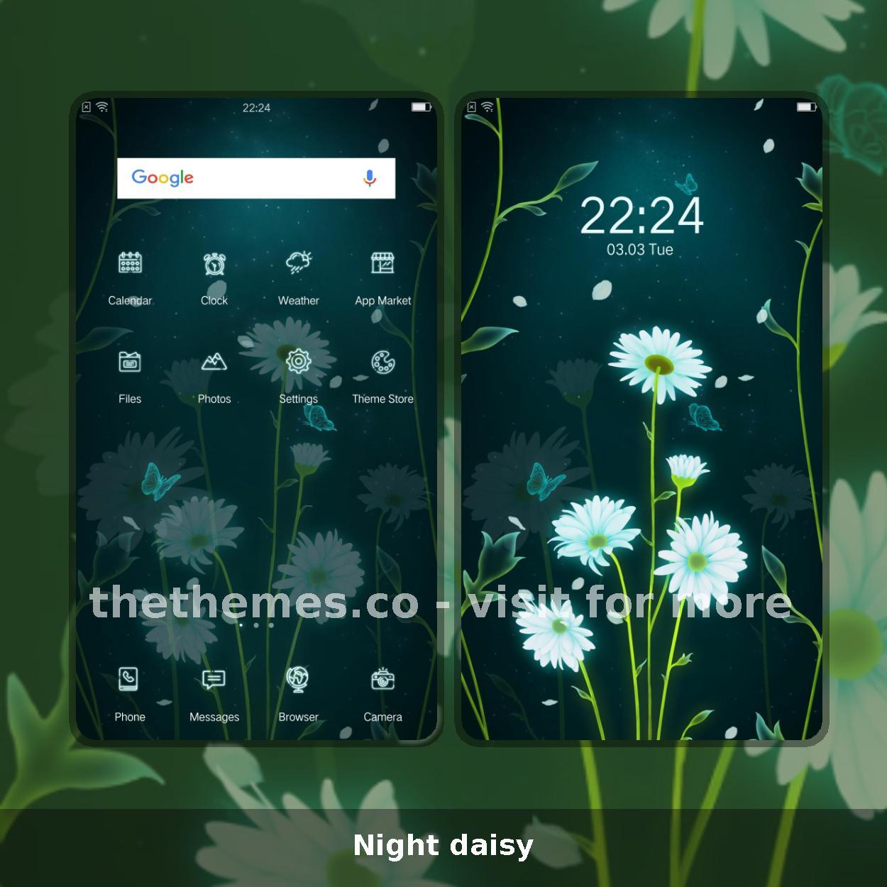 Night daisy