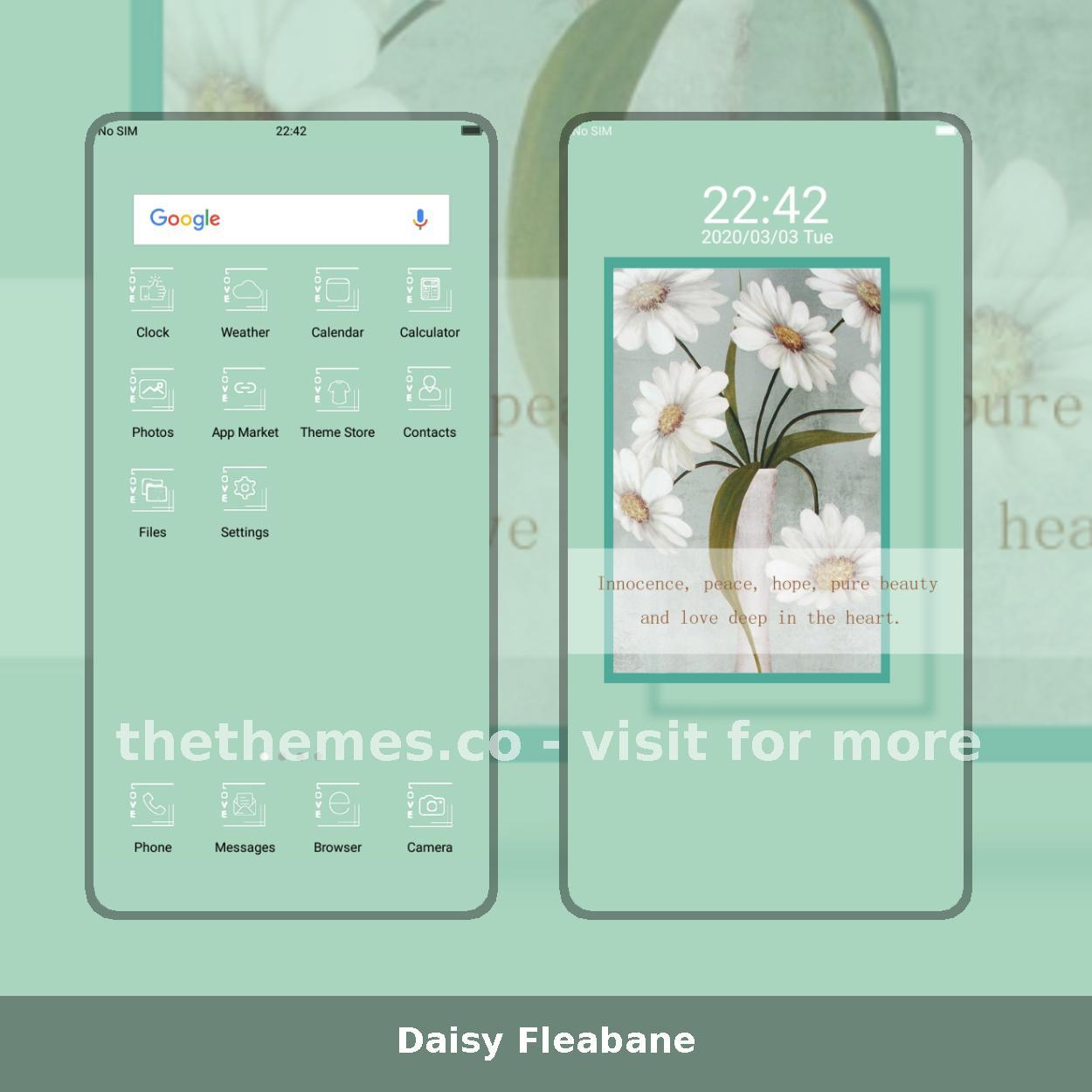 Daisy Fleabane