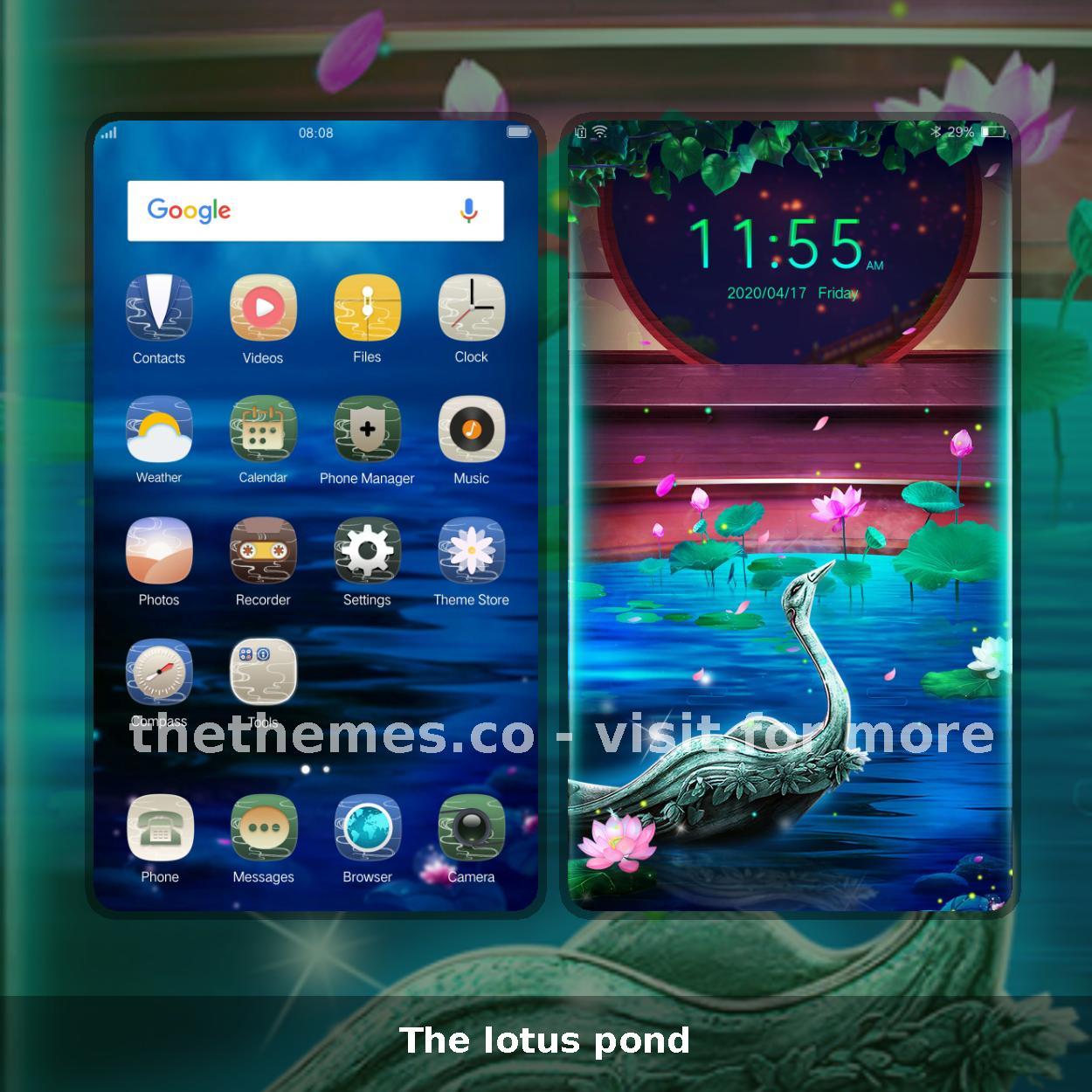 The lotus pond