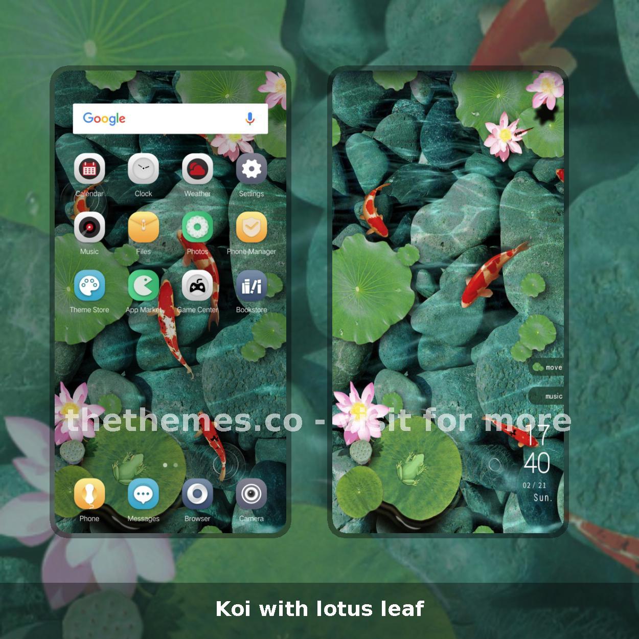 Koi with lotus leaf