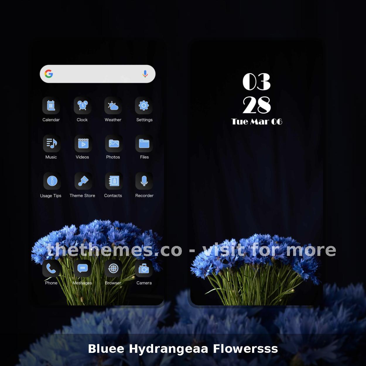 Bluee Hydrangeaa Flowersss