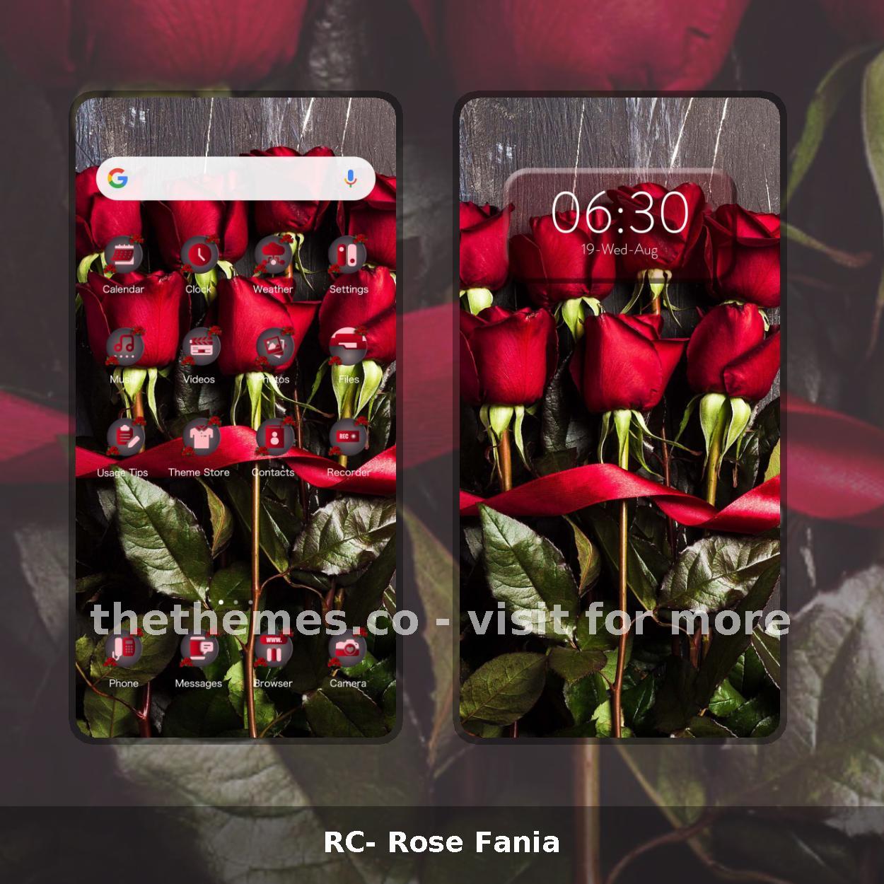 RC- Rose Fania