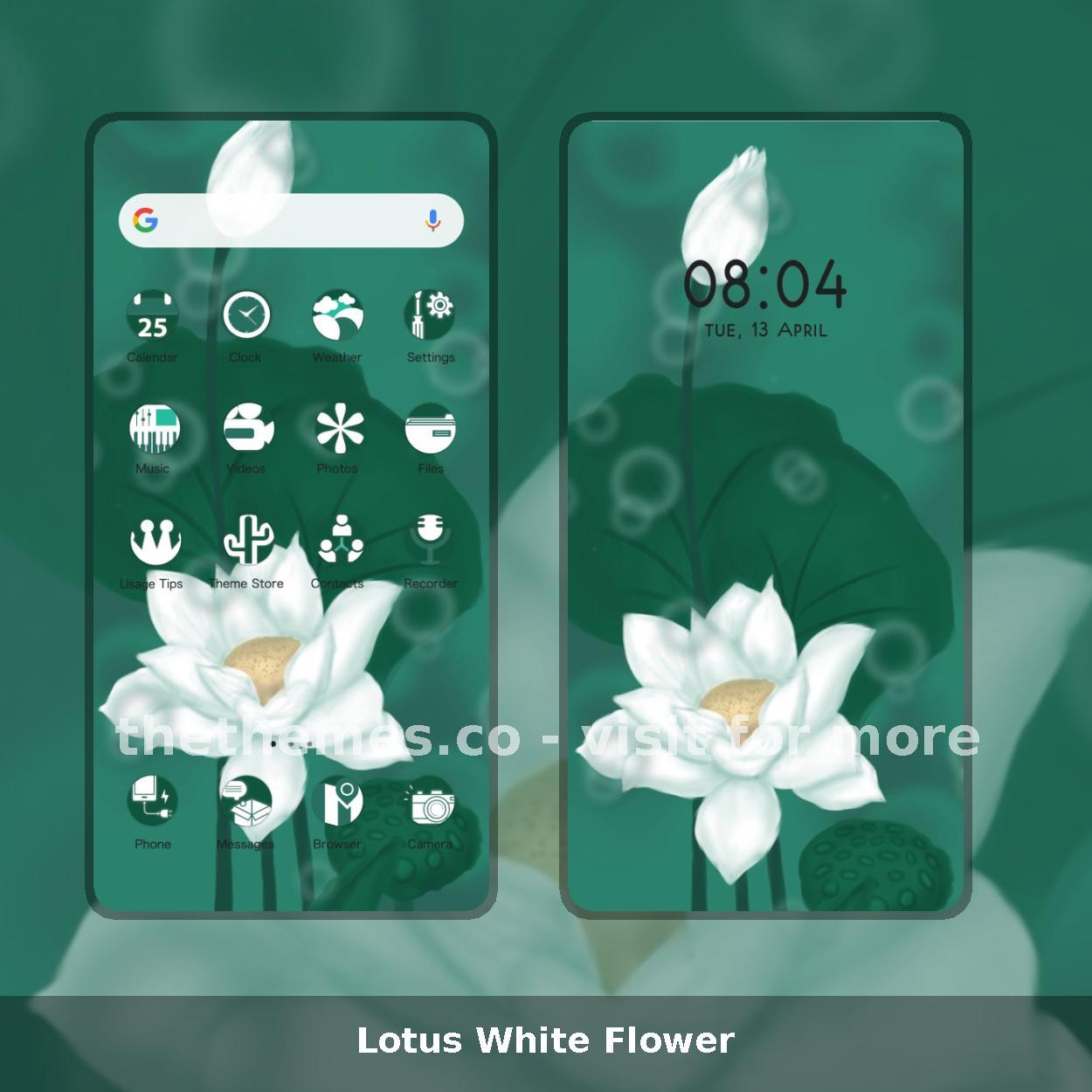 Lotus White Flower
