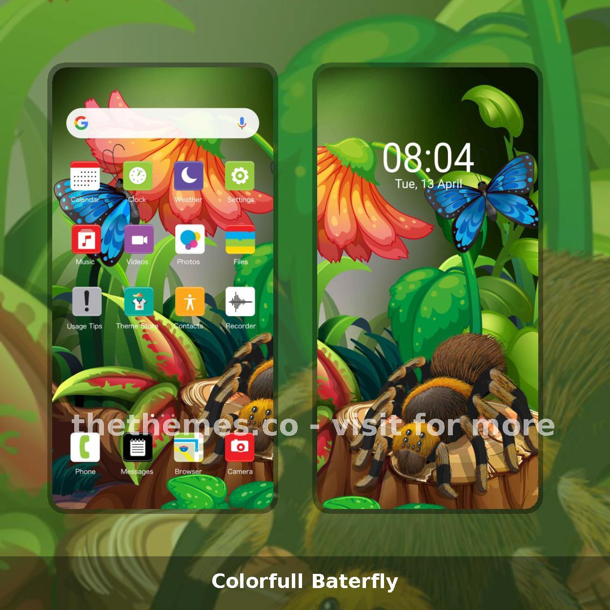 Colorfull Baterfly