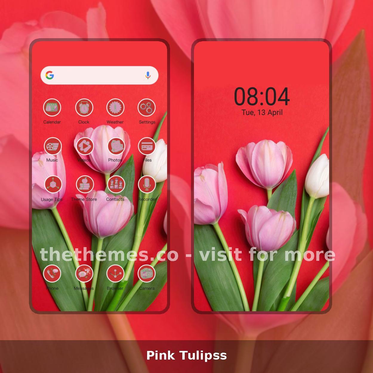 Pink Tulipss