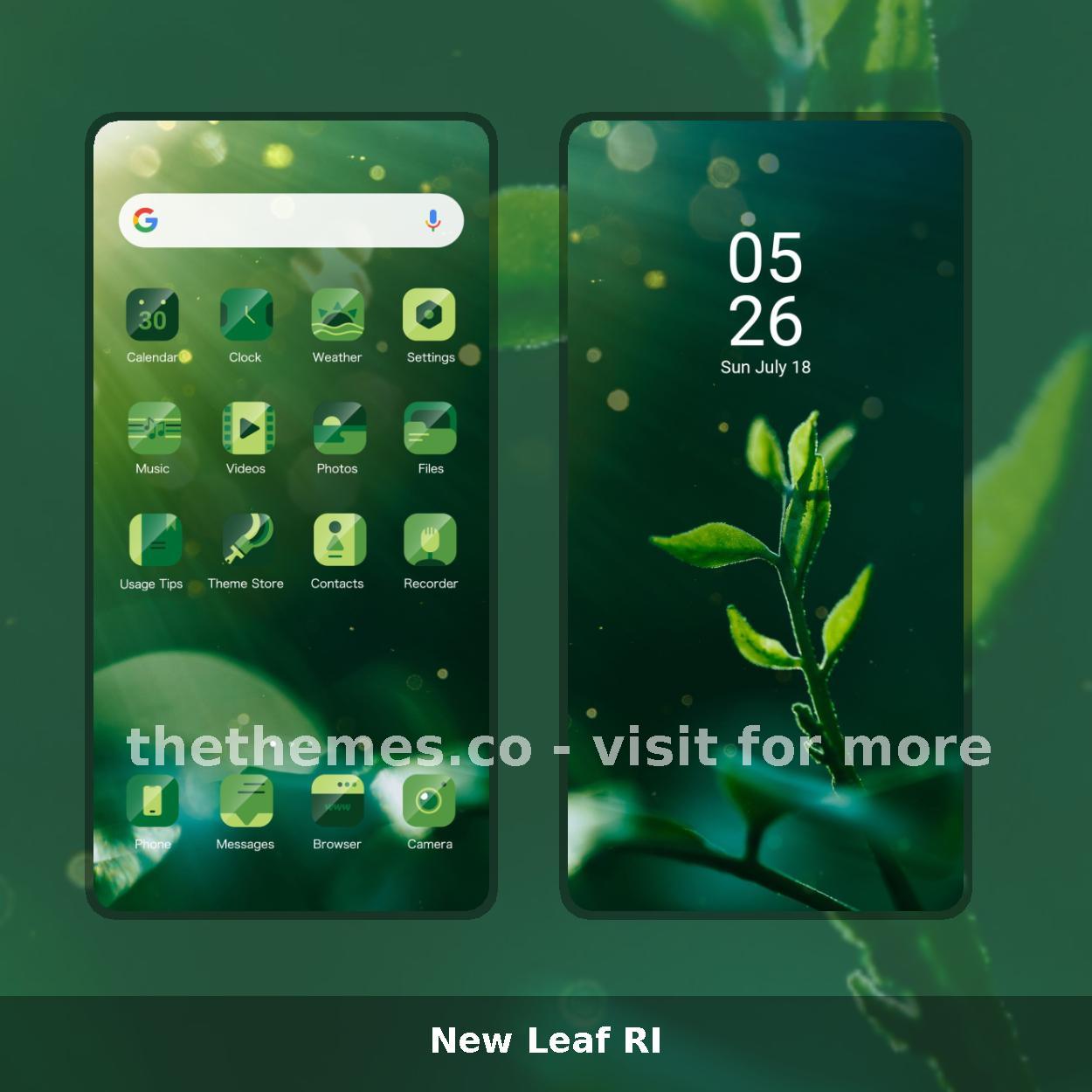 New Leaf RI