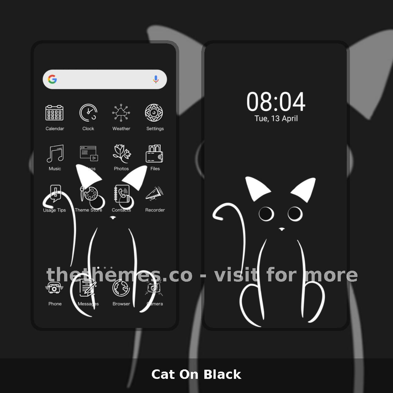 Cat On Black