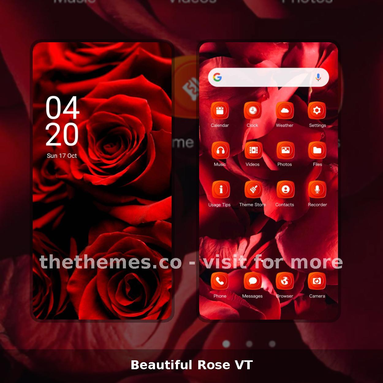 Beautiful Rose VT