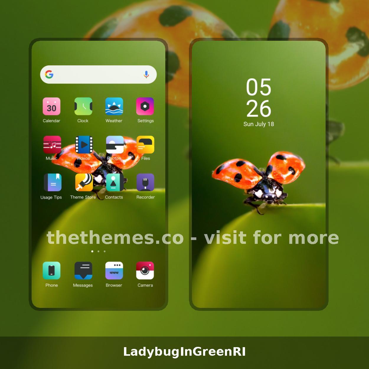 LadybugInGreenRI
