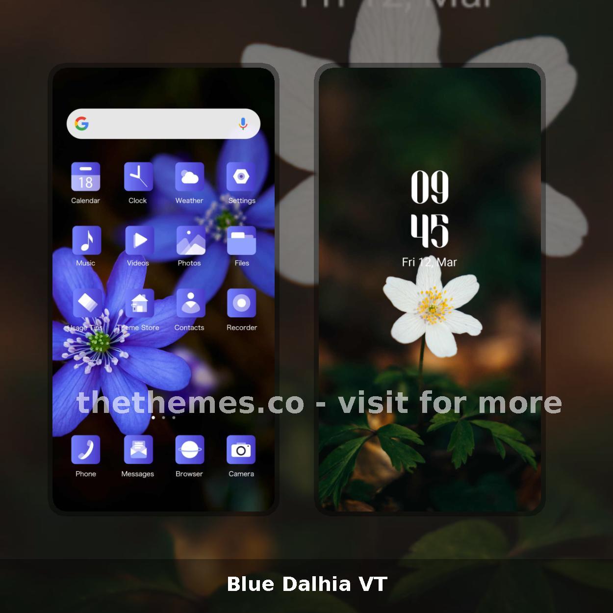 Blue Dalhia VT
