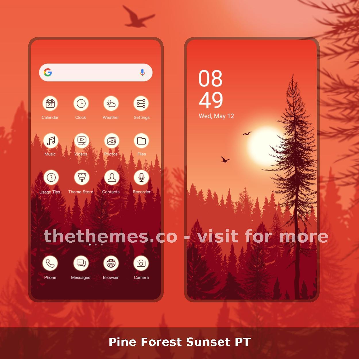 Pine Forest Sunset PT