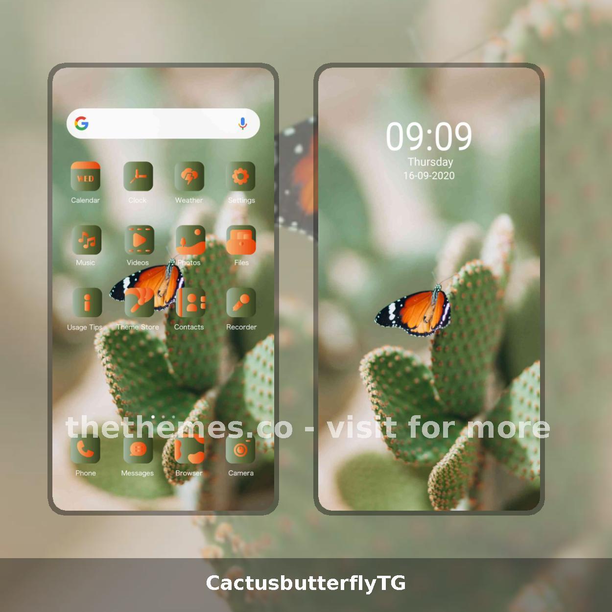 CactusbutterflyTG