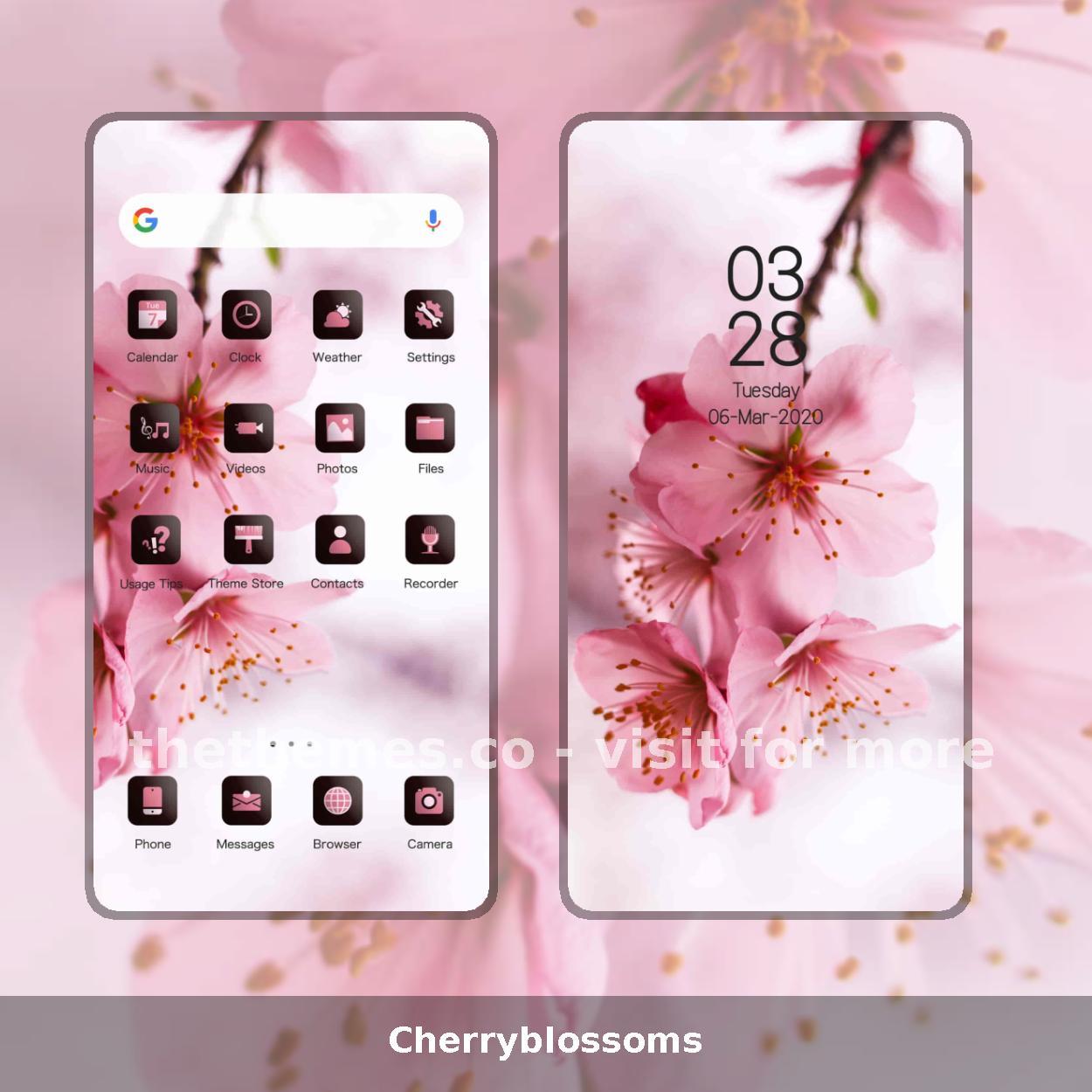 Cherryblossoms