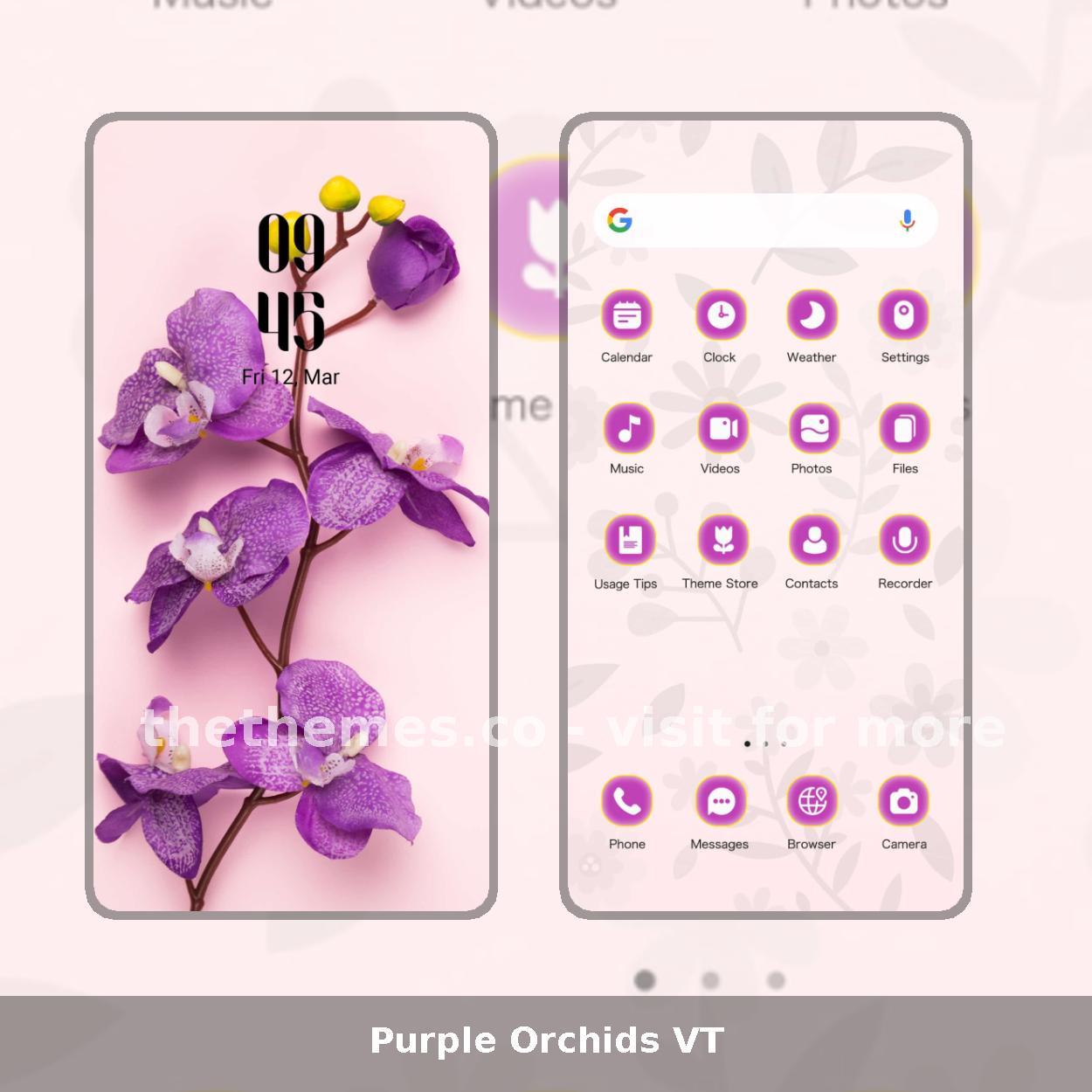 Purple Orchids VT